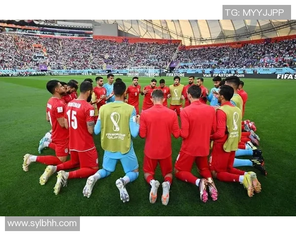 北京乒乓球队在世界杯中的个人能力表现分析与点评