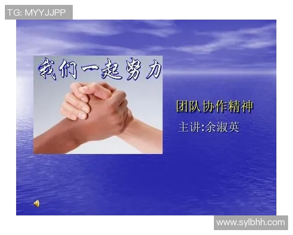 深圳排球队团队协作的变革与热议背后的故事与启示