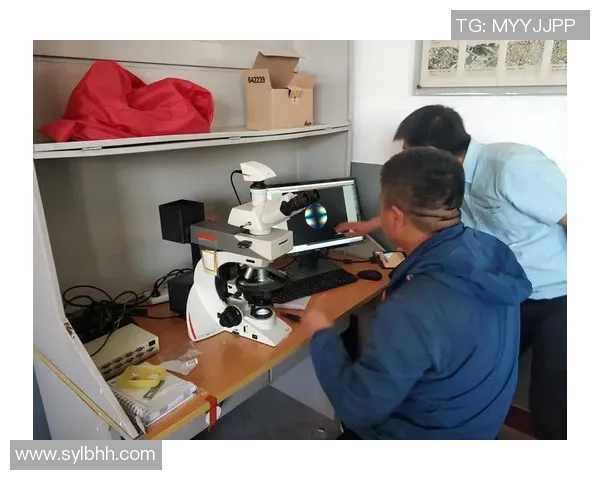 朗斯与索肖实力分析及近期表现对比探讨